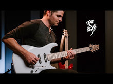 Ladda och spela upp video i Gallerivisaren, Fiore Amaryllis