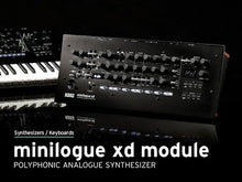 Load and play video in Gallery viewer, Minilogue-XD-M Module