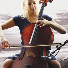 Load image into Gallery viewer, JTS - JS-22 Kondensator cardioid - Musik Utan Gränser