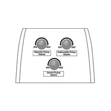 Load image into Gallery viewer, Ibanez - PA300E-NSL - Musik Utan Gränser