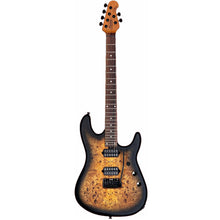 Ladda upp bild till gallerivisning, Sterling By Music Man - Richardson 6 Natural Poplar Burl - Musik Utan Gränser