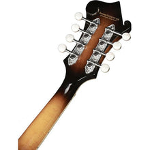 Load image into Gallery viewer, Richwood - RMF-100-VS F-style mandolin - Musik Utan Gränser