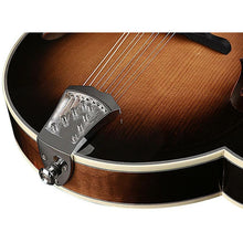 Load image into Gallery viewer, Richwood - RMF-100-VS F-style mandolin - Musik Utan Gränser