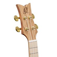 Load image into Gallery viewer, Ortega - RUAR-BI ART Series birds - Musik Utan Gränser