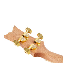 Load image into Gallery viewer, Ortega - RUAR-BI ART Series birds - Musik Utan Gränser