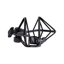 Ladda upp bild till gallerivisning, sE Electronics - VR1 Bandmikrofon - Musik Utan Gränser