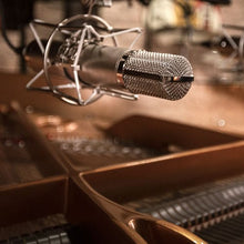 Load image into Gallery viewer, Warm Audio - WA-CX12 stormembrans rörmikrofon - Musik Utan Gränser