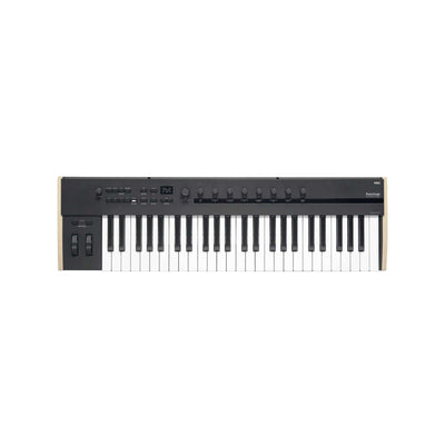 Korg - Keystage-49 - Musik Utan Gränser 