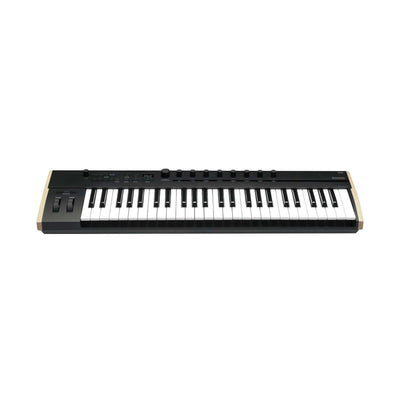 Korg - Keystage-49 - Musik Utan Gränser 
