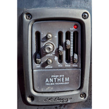 Load image into Gallery viewer, Custom OM-34 SR
