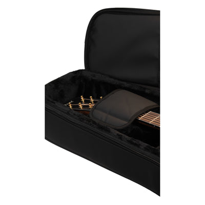 WGC3000 Western Guitar Hybrid Case