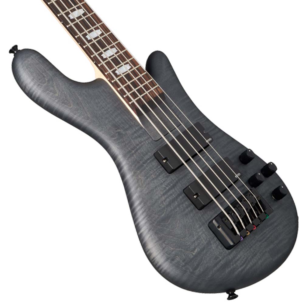Euro5 LX Bolt-on - Transparent Black