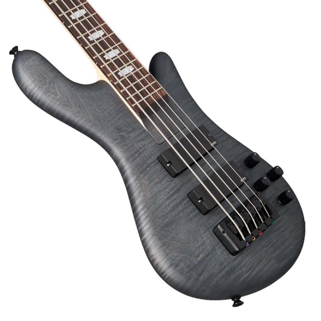 Euro5 LX Bolt-on Transparent Black