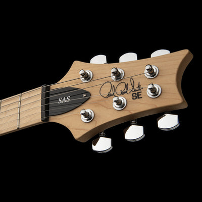 PRS - SE Swamp Ash Special Iridicent Blue - Musik Utan Gränser 