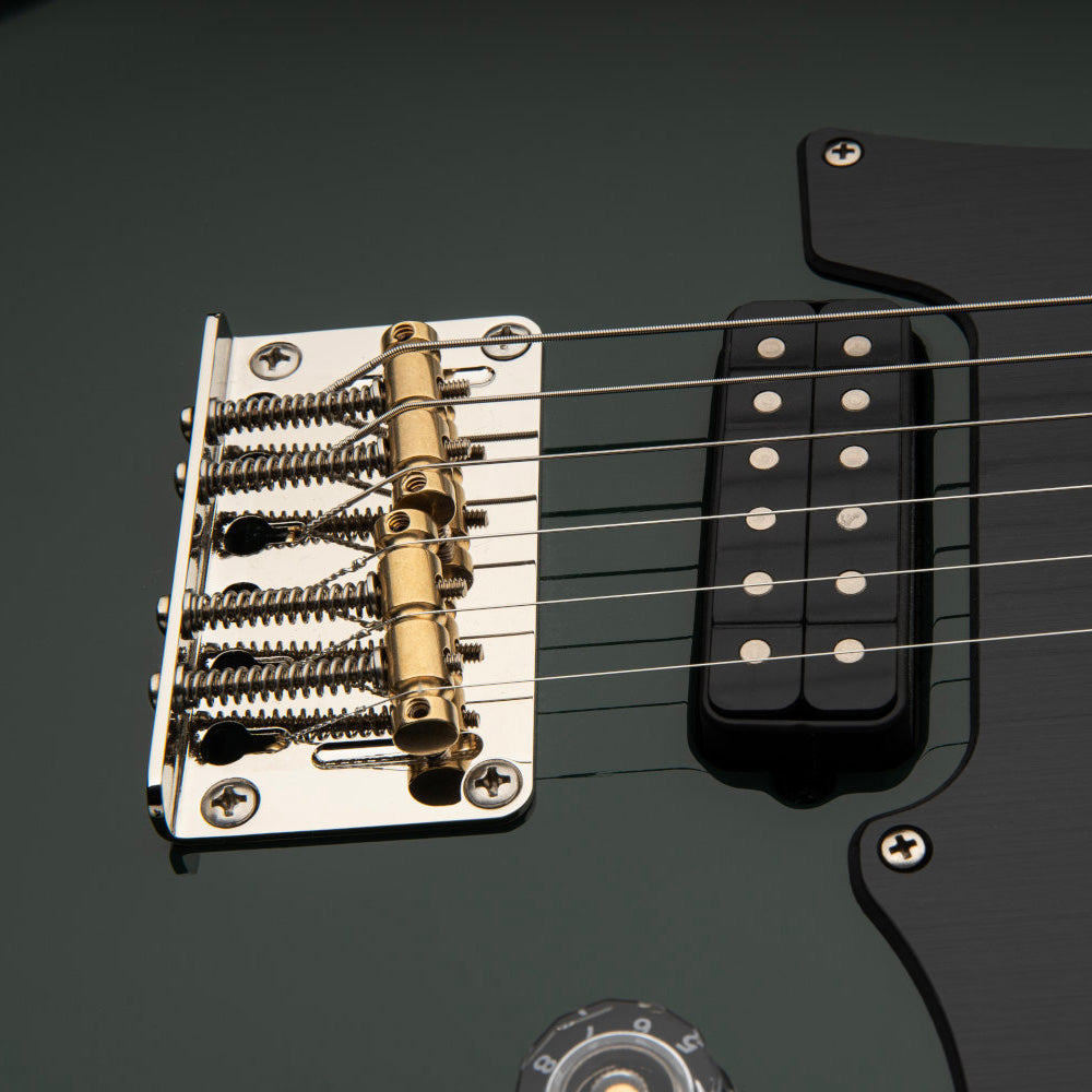 PRS - Myles Kennedy Hunter Green - Musik Utan Gränser 