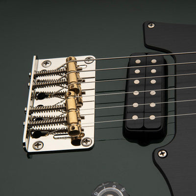 PRS - Myles Kennedy Hunter Green - Musik Utan Gränser 