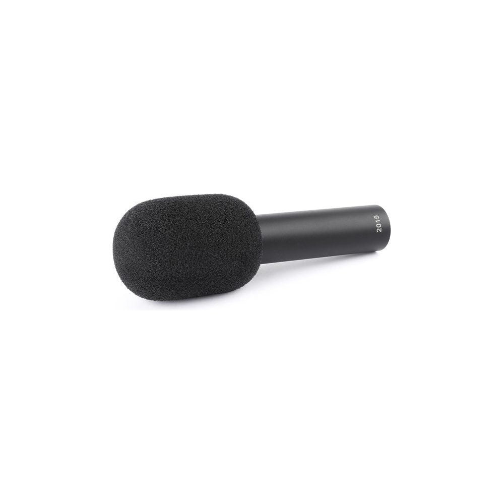 DPA - 2015 Compact wide cardioid mic - Musik Utan Gränser 