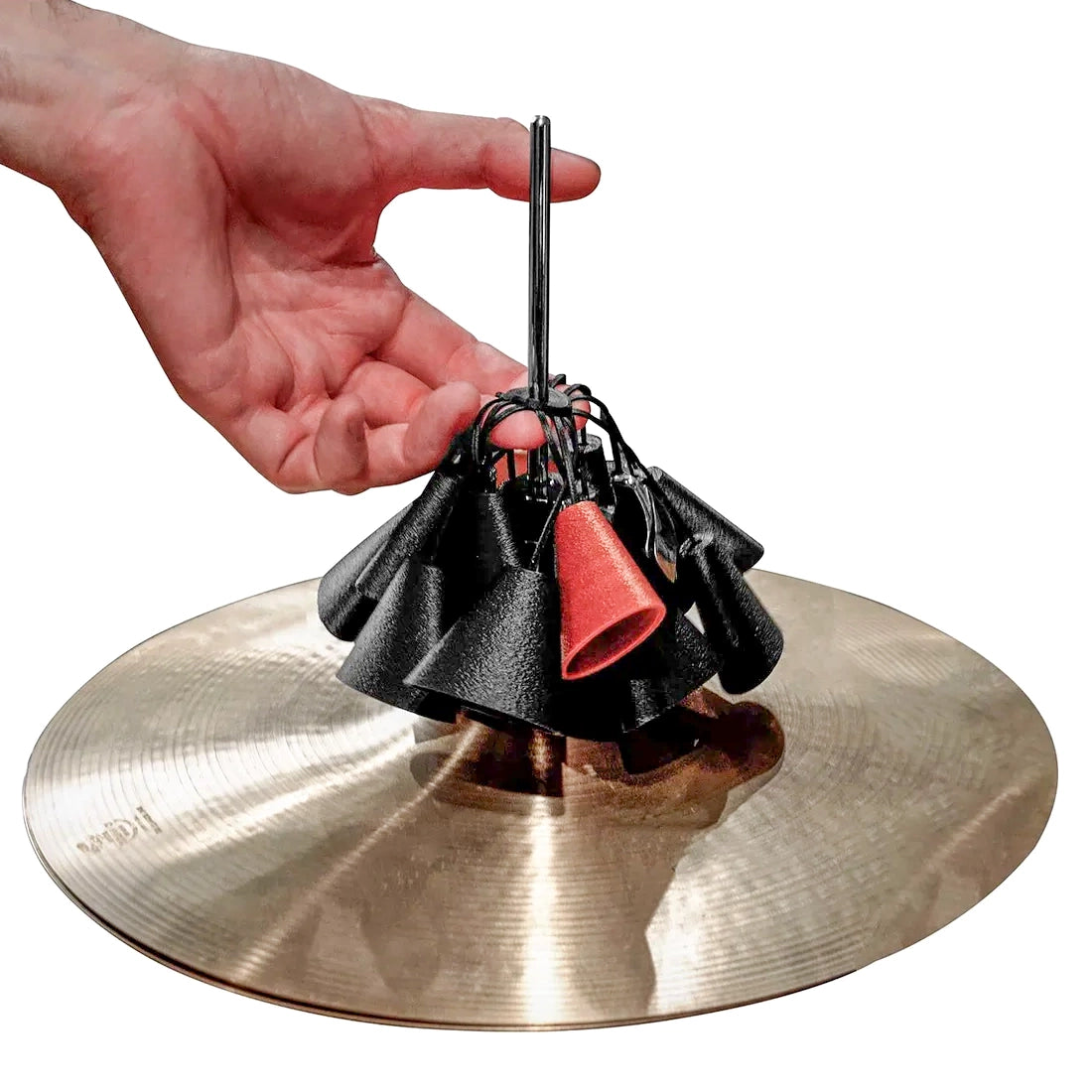 Percussion Spider Nuts