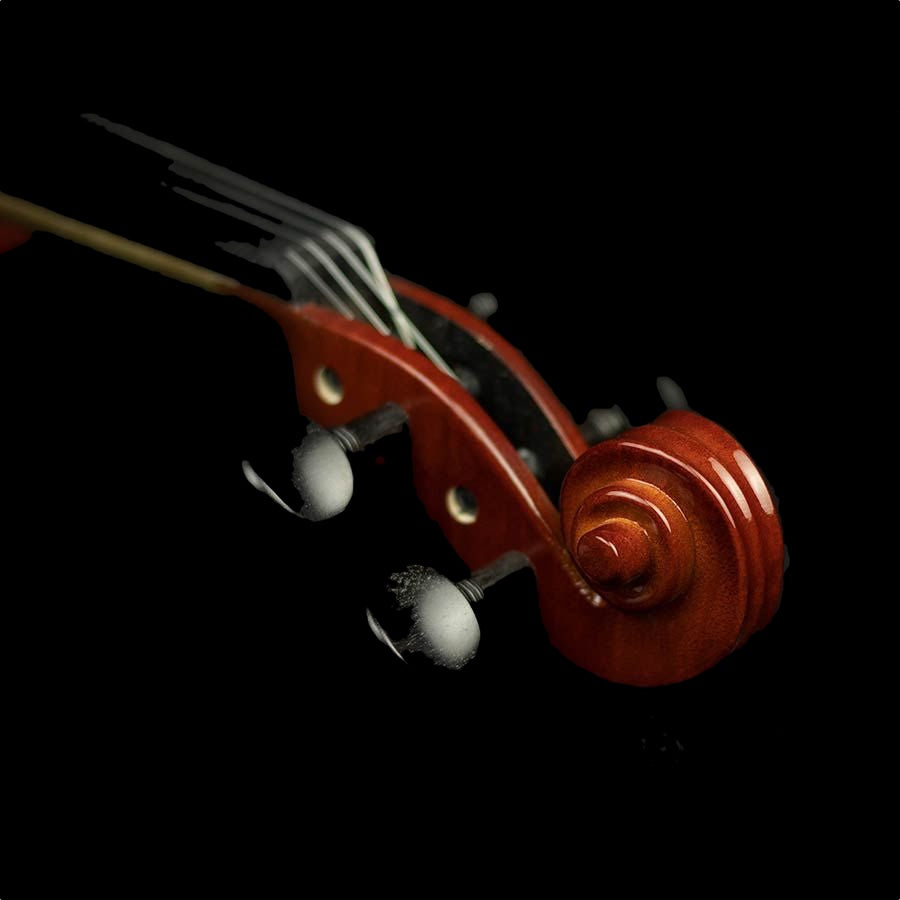 LV-2044 Student Series Violin 4/4