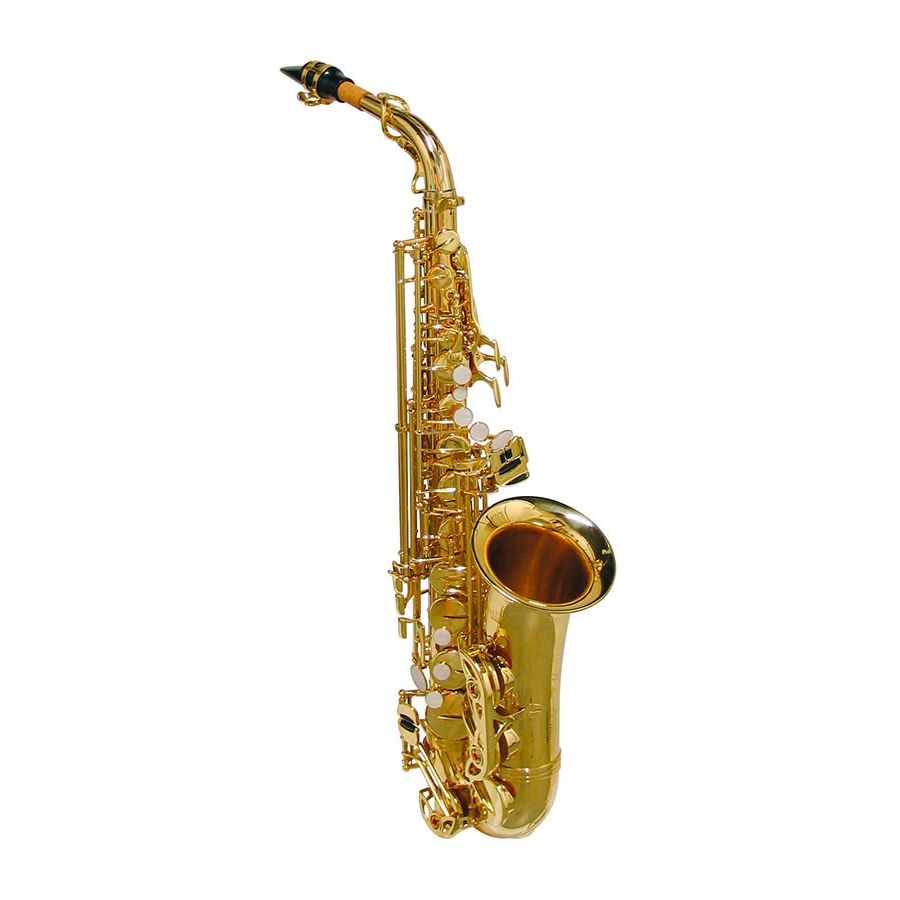 Pro Series Alt Saxophone