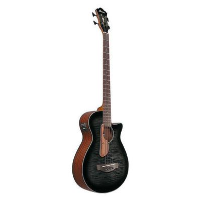 AEGB25E-TKH Transparent Black Sunburst High Gloss