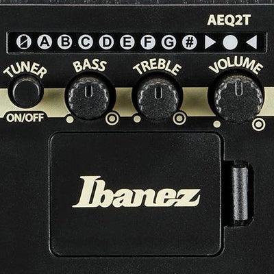 AEGB25E-TKH Transparent Black Sunburst High Gloss