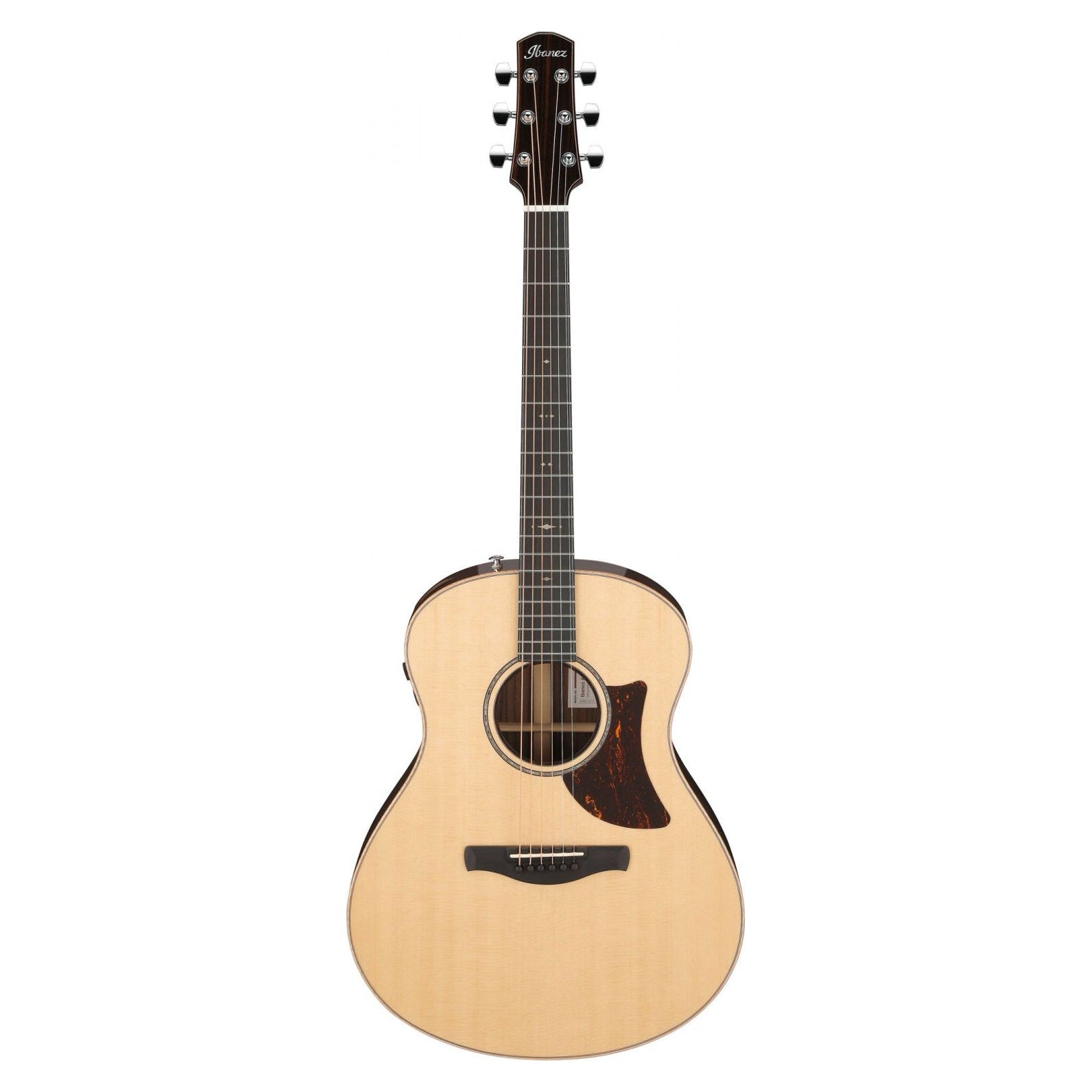 AAM780E-NT Western guitar etc. &amp; case, Advanced Auditorium
