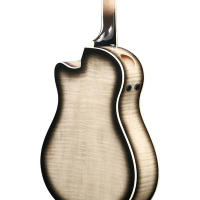 AAM370M1CE-TPA Transparent Panda High Gloss