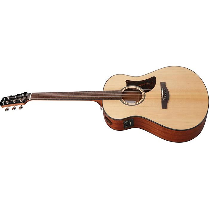 AAM100E-NT
