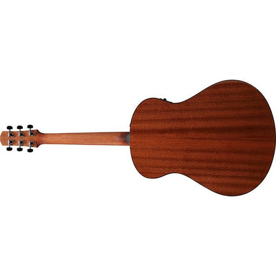 AAM100E-NT
