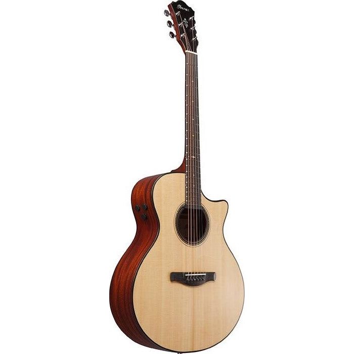 Ibanez - AE410-LGS Western Low Gloss Platinum - Musik Utan Gränser 