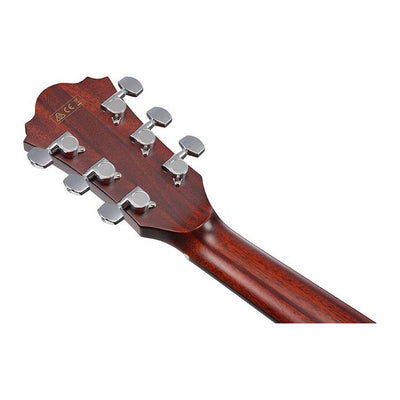 Ibanez - AE410-LGS Western Low Gloss Platinum - Musik Utan Gränser 