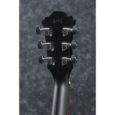 Ibanez - AE295-WK Wheathered Black - Musik Utan Gränser 