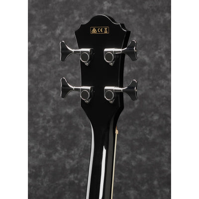 Ibanez - AEB8E-BK - Musik Utan Gränser 
