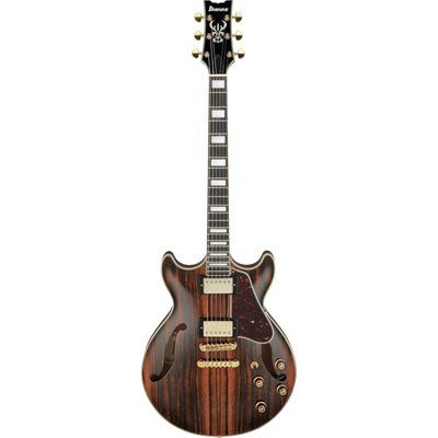 Ibanez - AM93ME-NT Natural High Gloss Artcore Expressionist - Musik Utan Gränser 