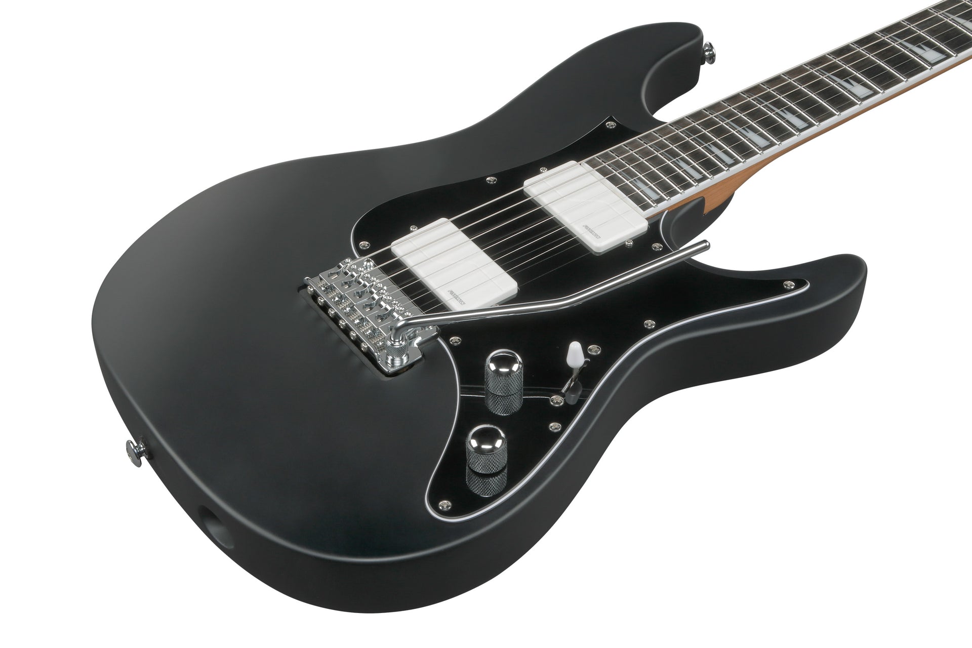 BER10 Bernth Signature, Levereras med gigbag