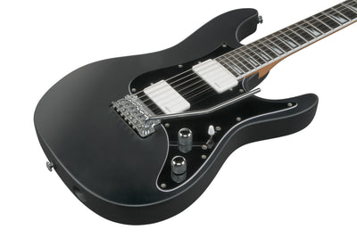 BER10 Bernth Signature, Levereras med gigbag