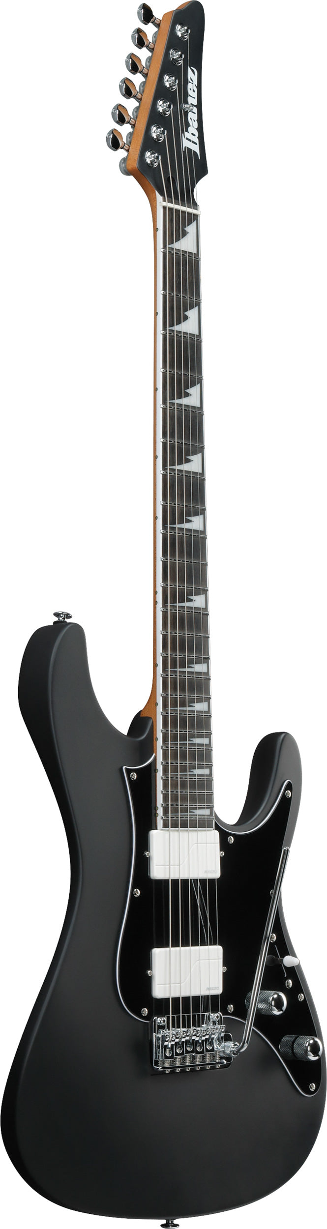 BER10 Bernth Signature, Levereras med gigbag