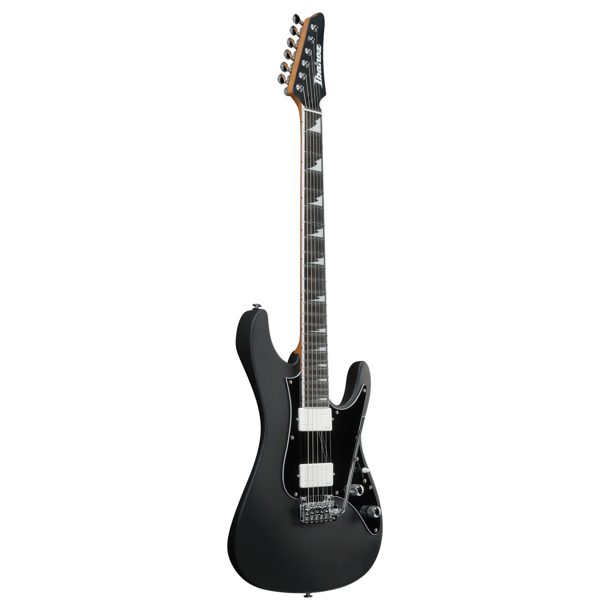 Ibanez BER10 Bernth Signature – bild 2