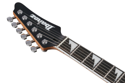 BER10 Bernth Signature, Levereras med gigbag