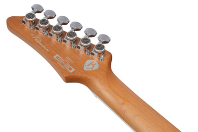 BER10 Bernth Signature, Levereras med gigbag