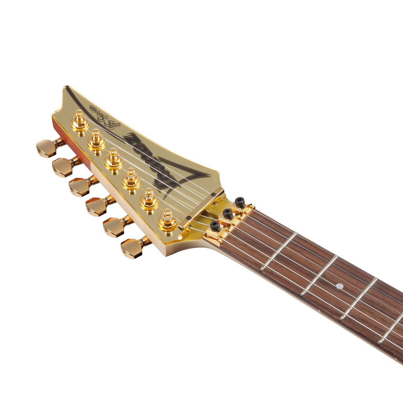 JS1GD Joe Satriani Gold Boy