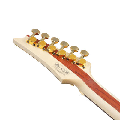 JS1GD Joe Satriani Gold Boy