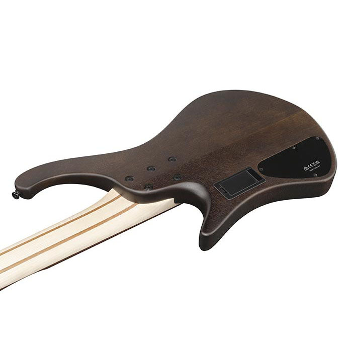 EHB605-WNF Walnut Flat Headless 5-strängad Workshop
