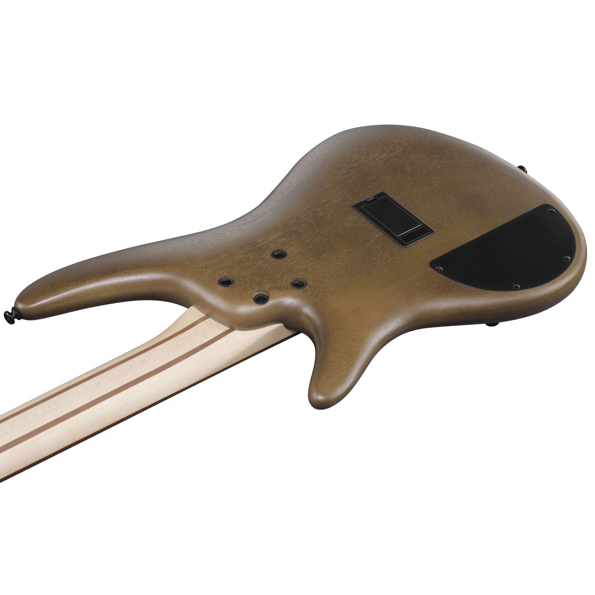 Ibanez - SR305EB-WNF Walnut Flat - Musik Utan Gränser 