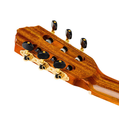 Ortega - RCE170F 4/4 Flamenco - Musik Utan Gränser 