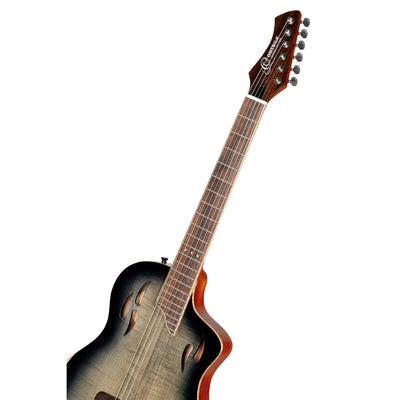 RTPG-LS1 Nylonstr. gitarr med mik, Thin body, Slim neck