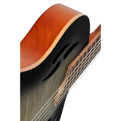 RTPG-LS1 Nylonstr. gitarr med mik, Thin body, Slim neck