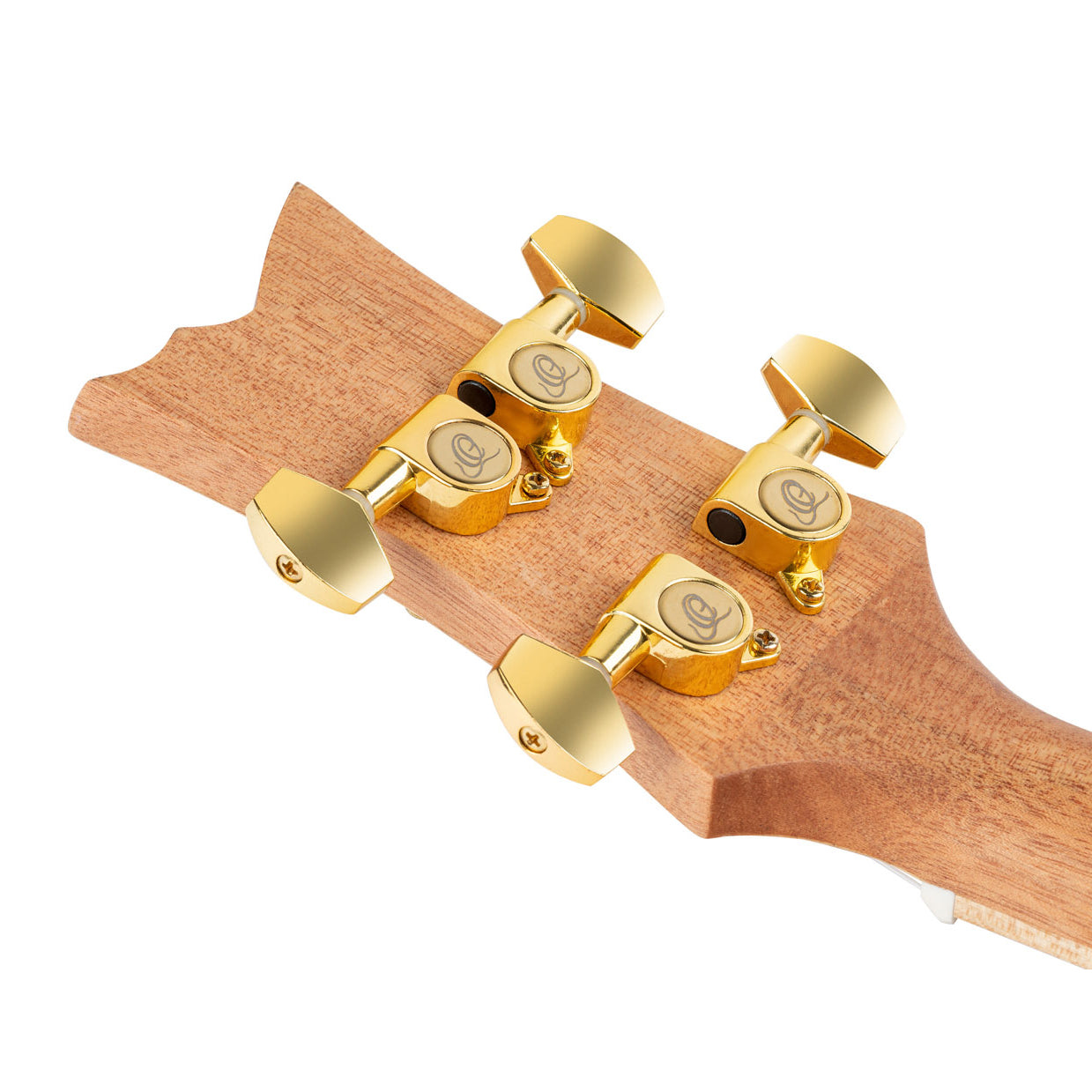 Ortega - RUAR-MI Concert Ukulele ART Series Mystic Indica - Musik Utan Gränser 