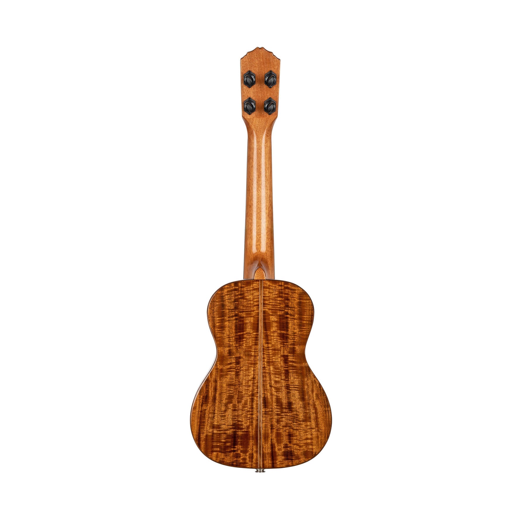 Ortega - RUET-ACA Concert Elite Acacia - Musik Utan Gränser 